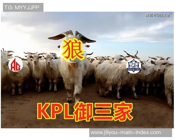 Ag九游会登陆入口-Ag九游会登陆体验全解析